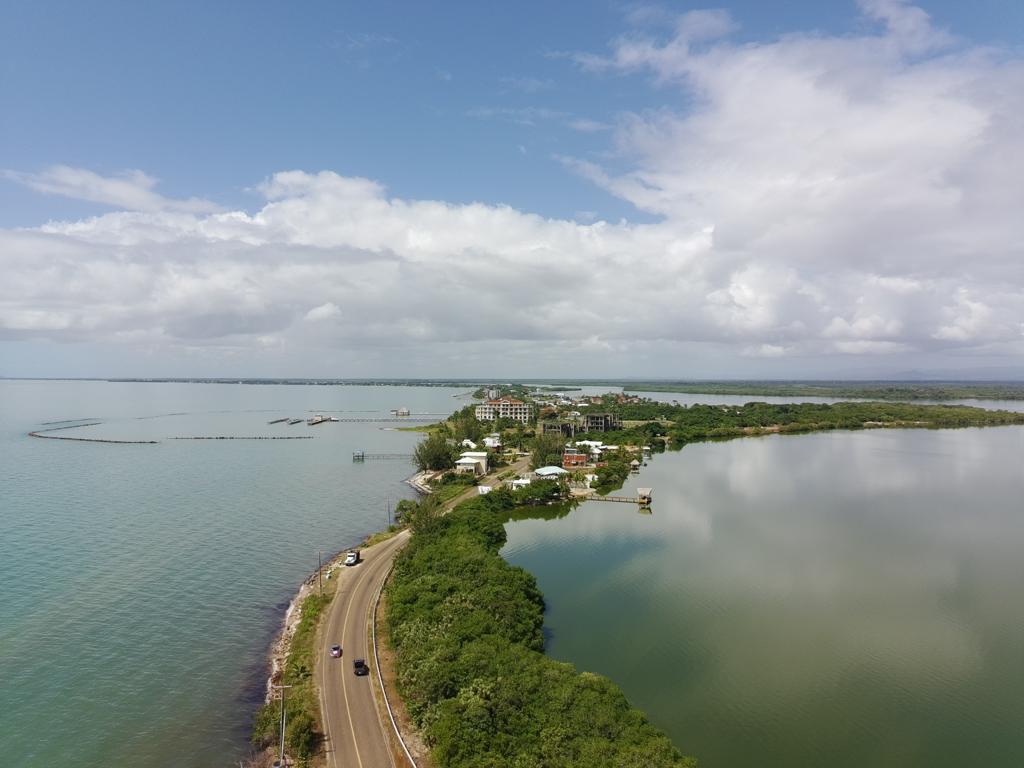 listing image with ID 95002