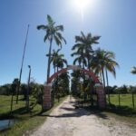 listing image thumbnail with ID 88082