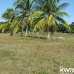 listing image thumbnail with ID 75679