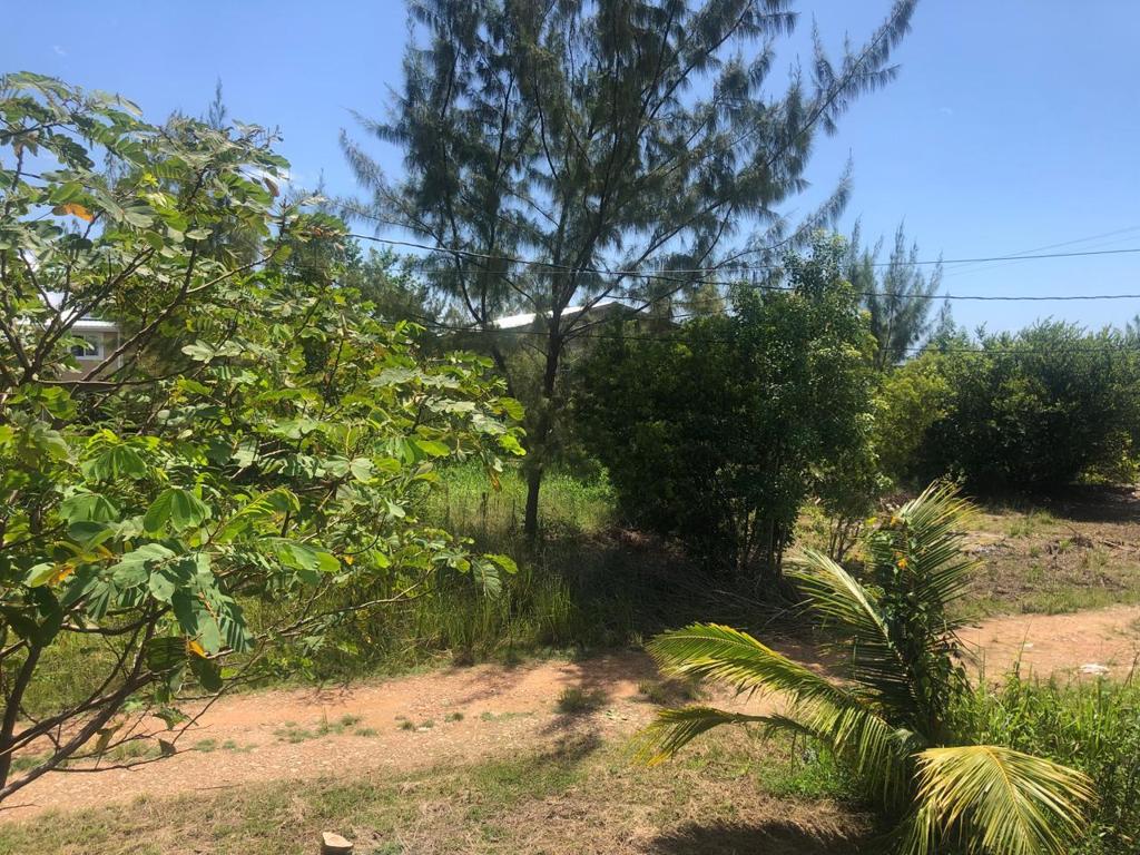 listing image with ID 77892