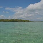 listing image thumbnail with ID 100226