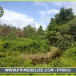 listing image thumbnail with ID 93583