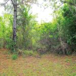 listing image thumbnail with ID 82682