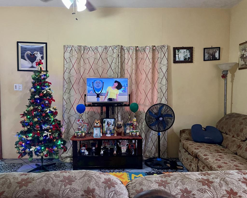 listing image with ID 108282