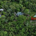 listing image thumbnail with ID 91062