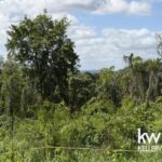 listing image thumbnail with ID 83119