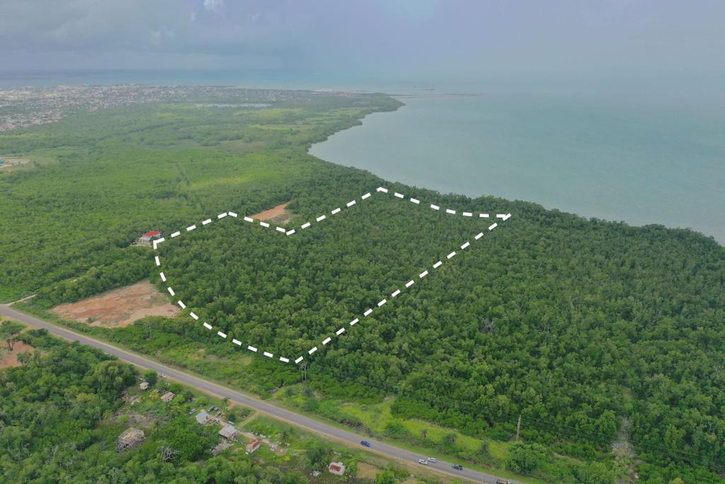 listing image with ID 95760