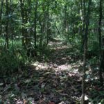 listing image thumbnail with ID 78434