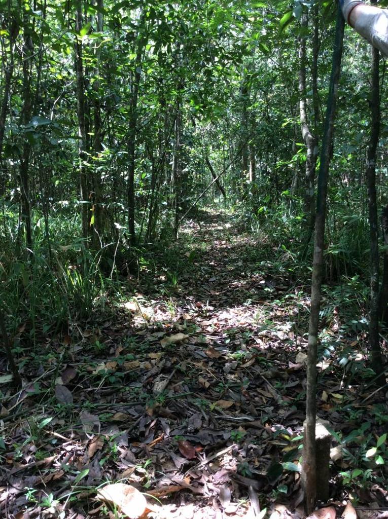 listing image with ID 78434