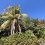 listing image thumbnail with ID 87974