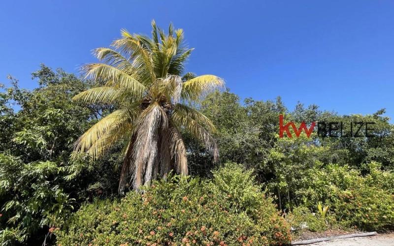 listing image with ID 87974