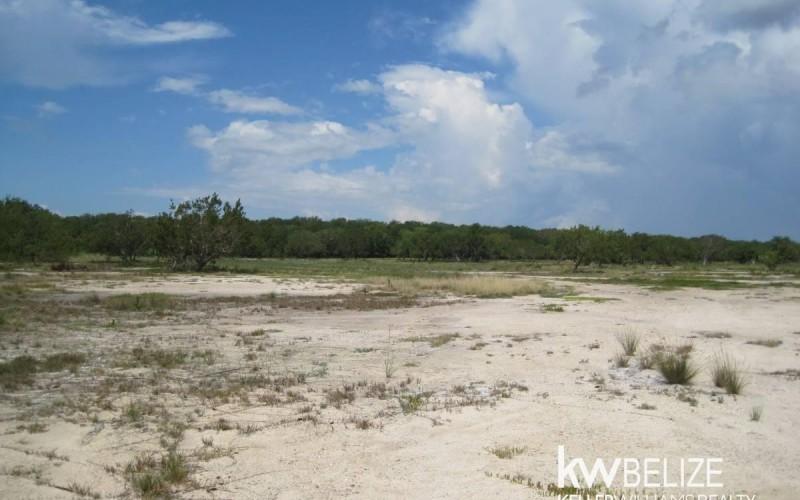 listing image with ID 107360