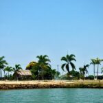 listing image thumbnail with ID 82070
