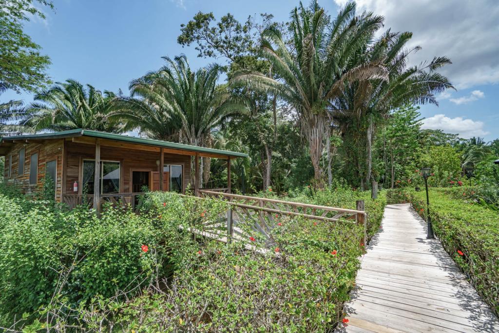 listing image with ID 103302