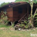 listing image thumbnail with ID 106974
