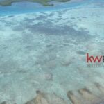 listing image thumbnail with ID 100814