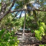 listing image thumbnail with ID 101604