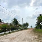 listing image thumbnail with ID 77995