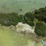 listing image thumbnail with ID 88728