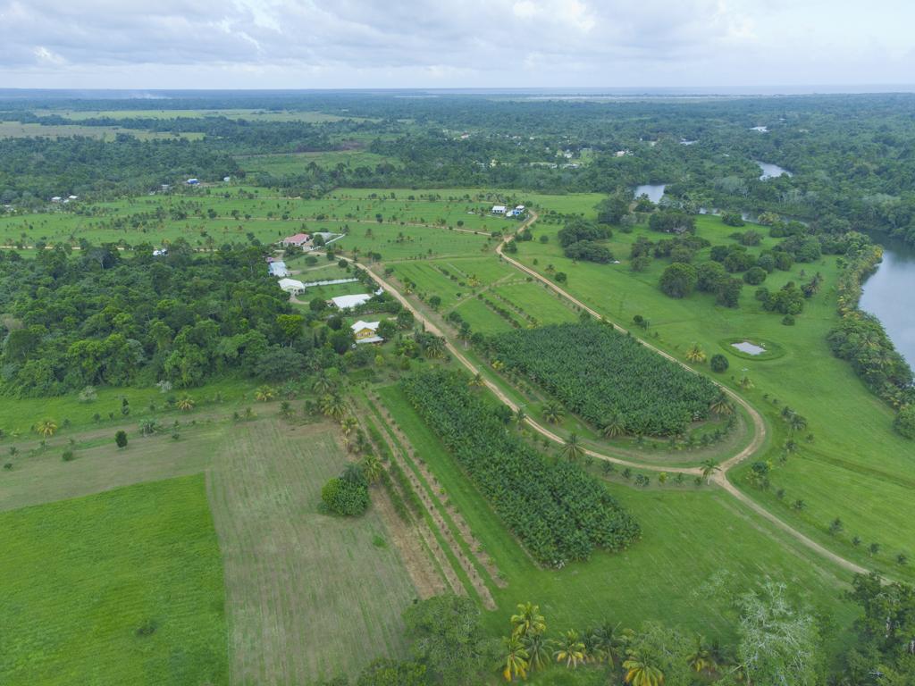 listing image with ID 75805