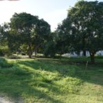 listing image thumbnail with ID 107421