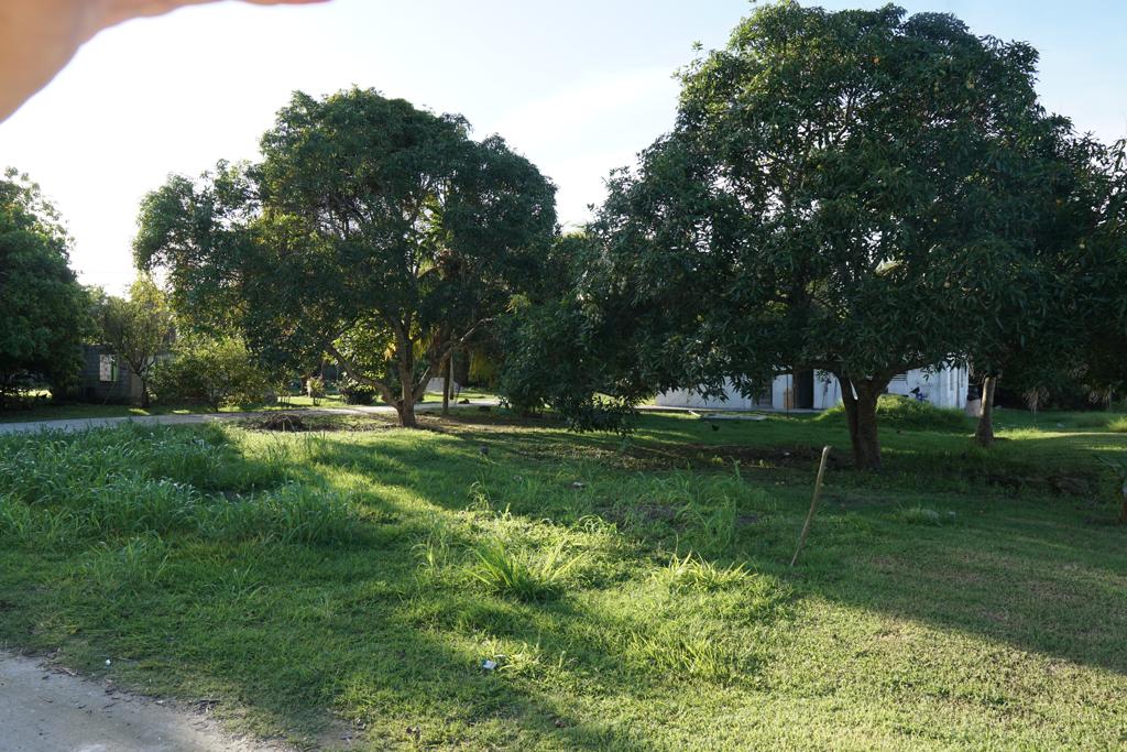 listing image with ID 107421