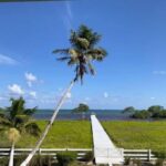 listing image thumbnail with ID 85725