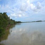 listing image thumbnail with ID 83258
