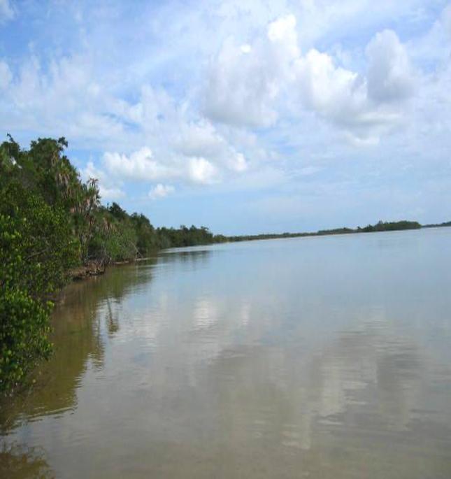 listing image with ID 83258