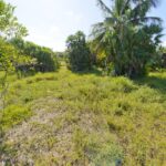 listing image thumbnail with ID 80968