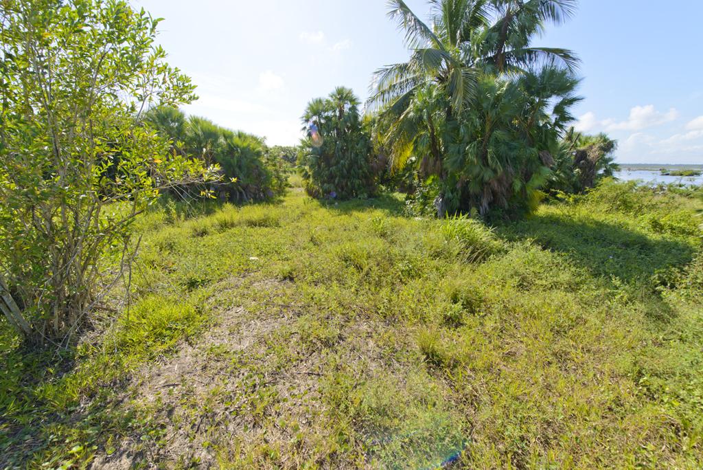 listing image with ID 80968