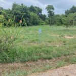 listing image thumbnail with ID 76998