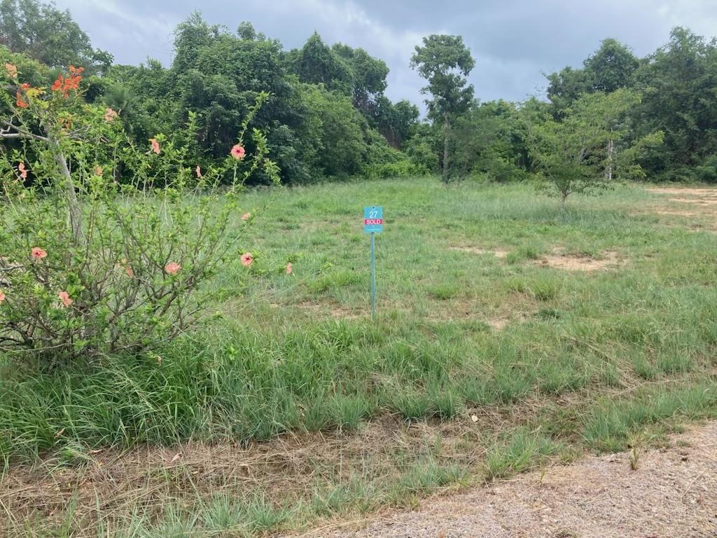 listing image with ID 76998