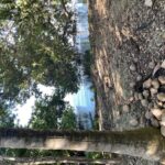 listing image thumbnail with ID 98459