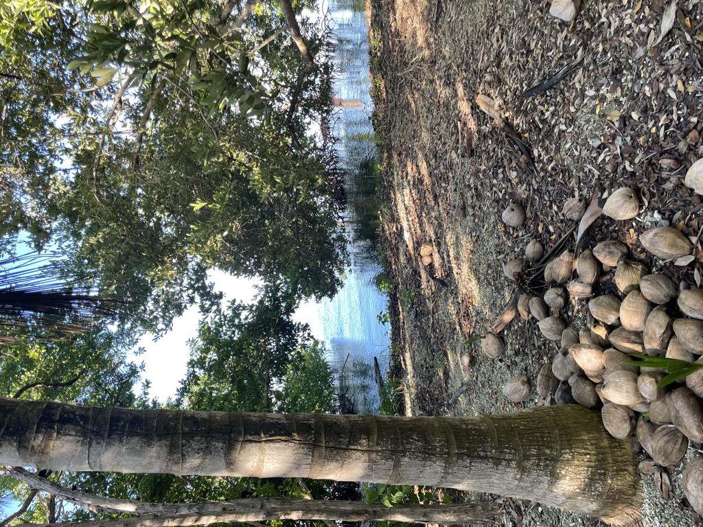 listing image with ID 98459