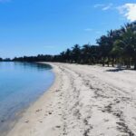 listing image thumbnail with ID 107711