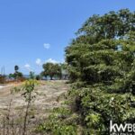 listing image thumbnail with ID 91403