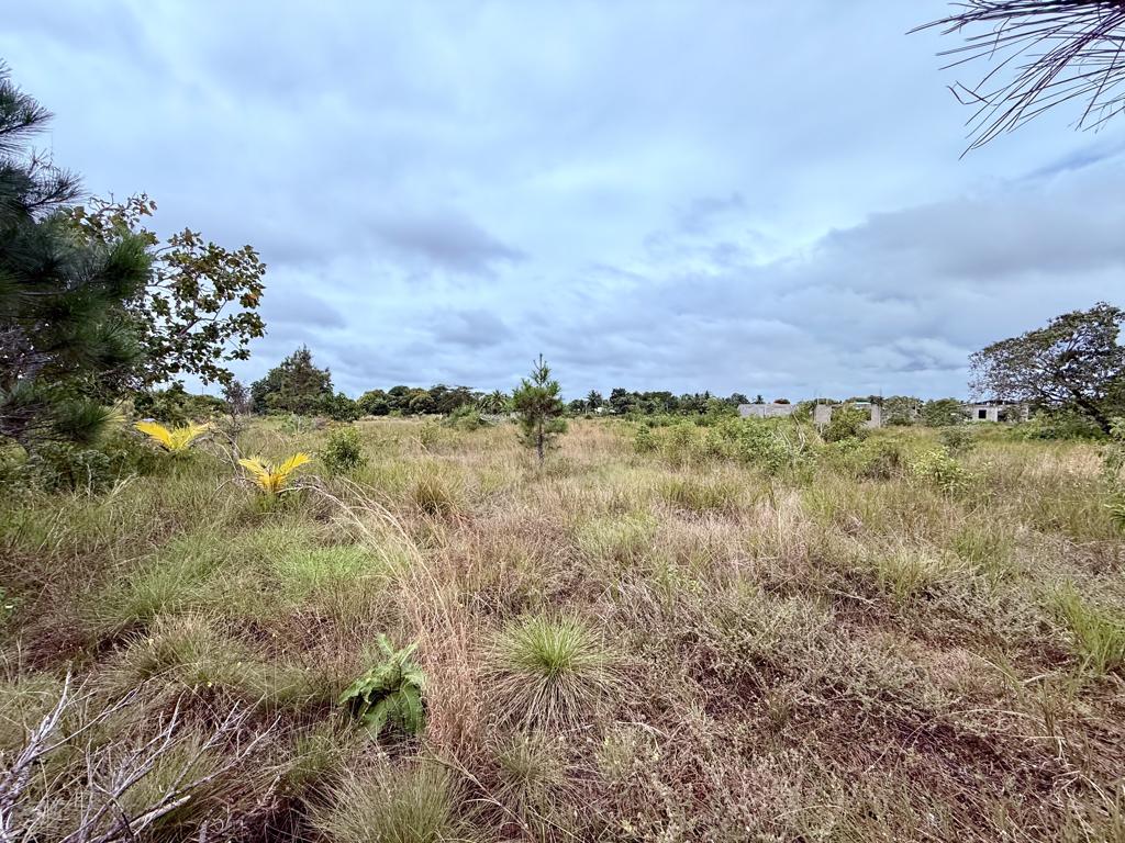 listing image with ID 101054