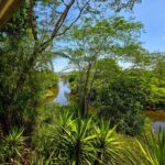 listing image thumbnail with ID 77509
