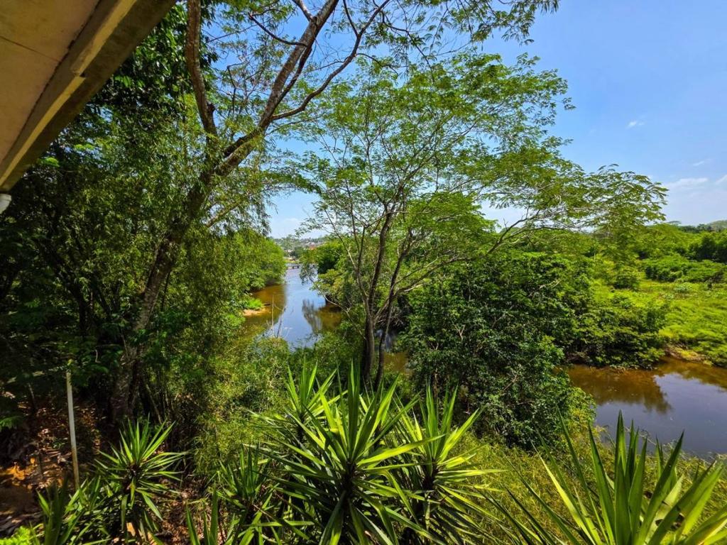 listing image with ID 77509