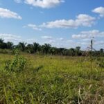 listing image thumbnail with ID 102115