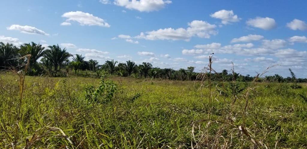listing image with ID 102115