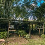 listing image thumbnail with ID 74538