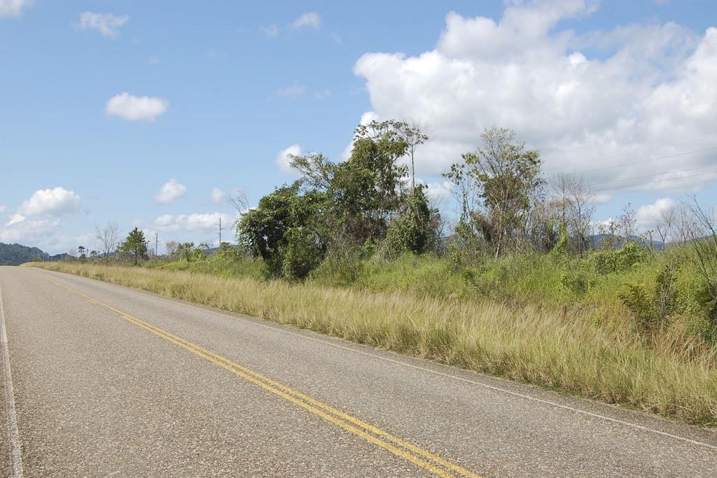 listing image with ID 97258
