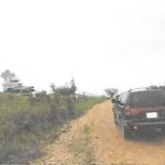 listing image thumbnail with ID 94994