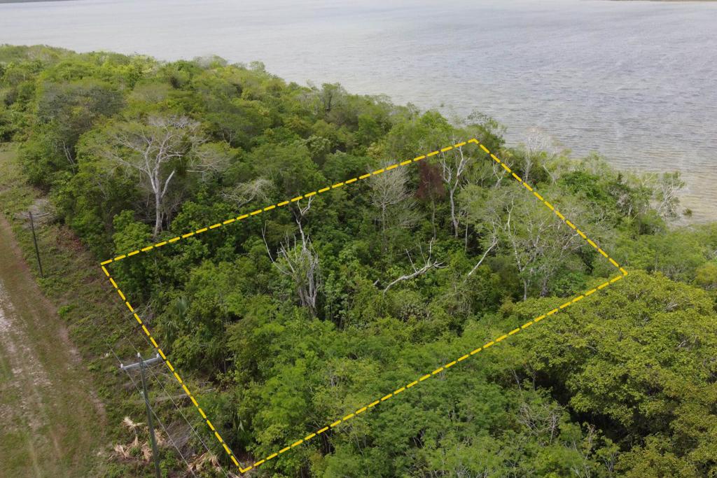 listing image with ID 97957
