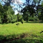 listing image thumbnail with ID 104426