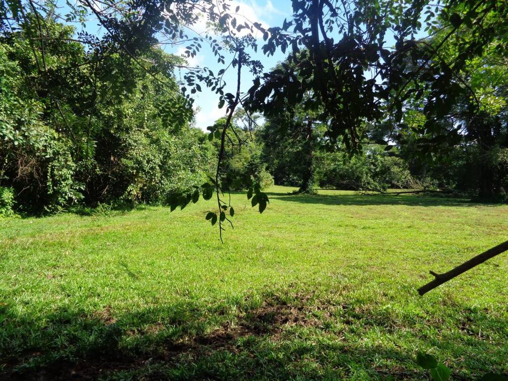 listing image with ID 104426