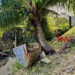 listing image thumbnail with ID 88447
