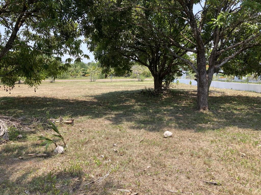 listing image with ID 105091